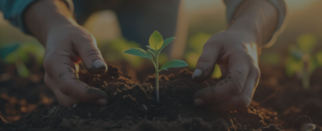 hands holding soil with seedling